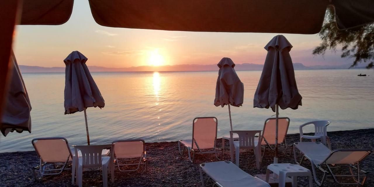 Apartment Giorgos 卡拉马塔 外观 照片